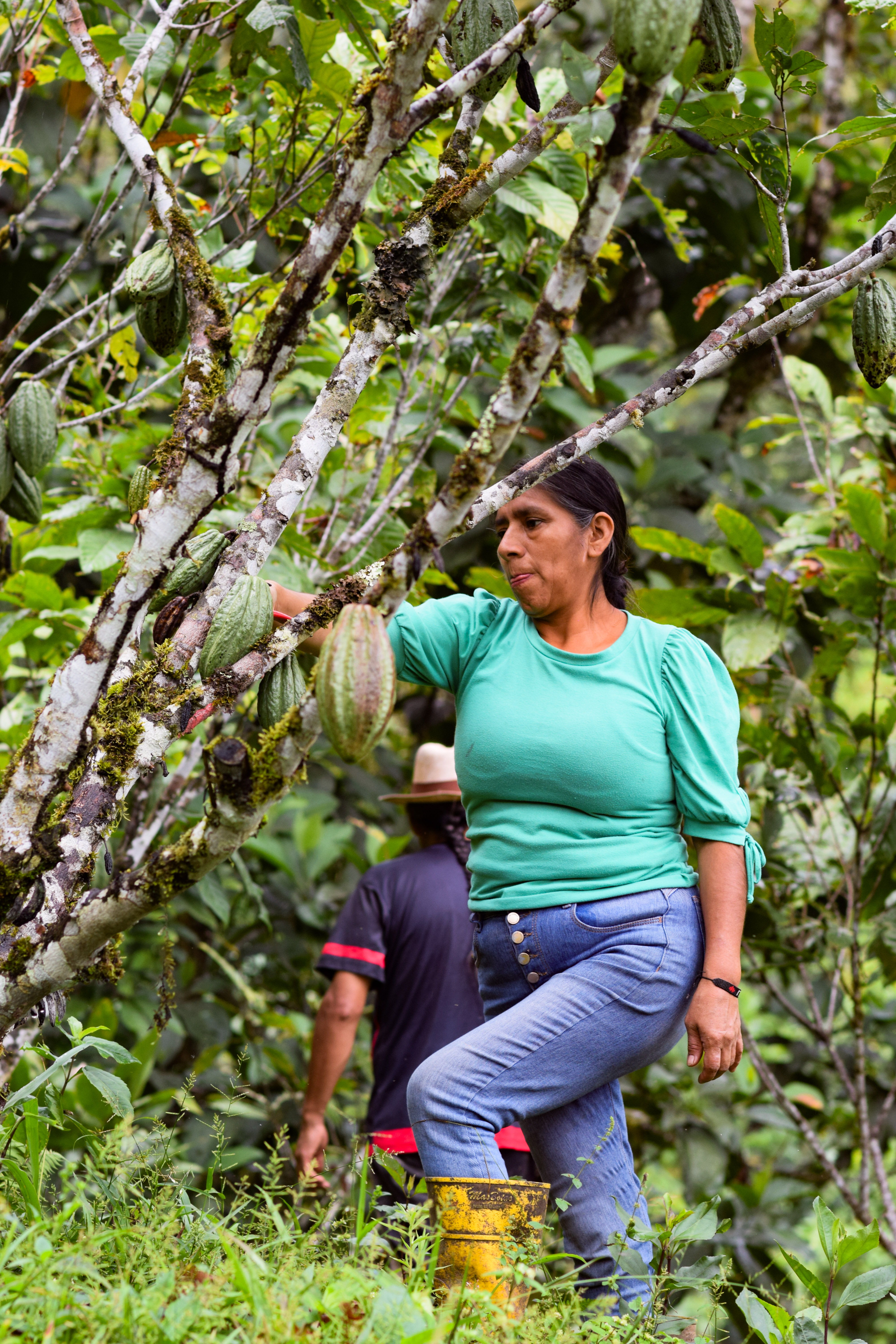 PSX_20250627_182215 (1)