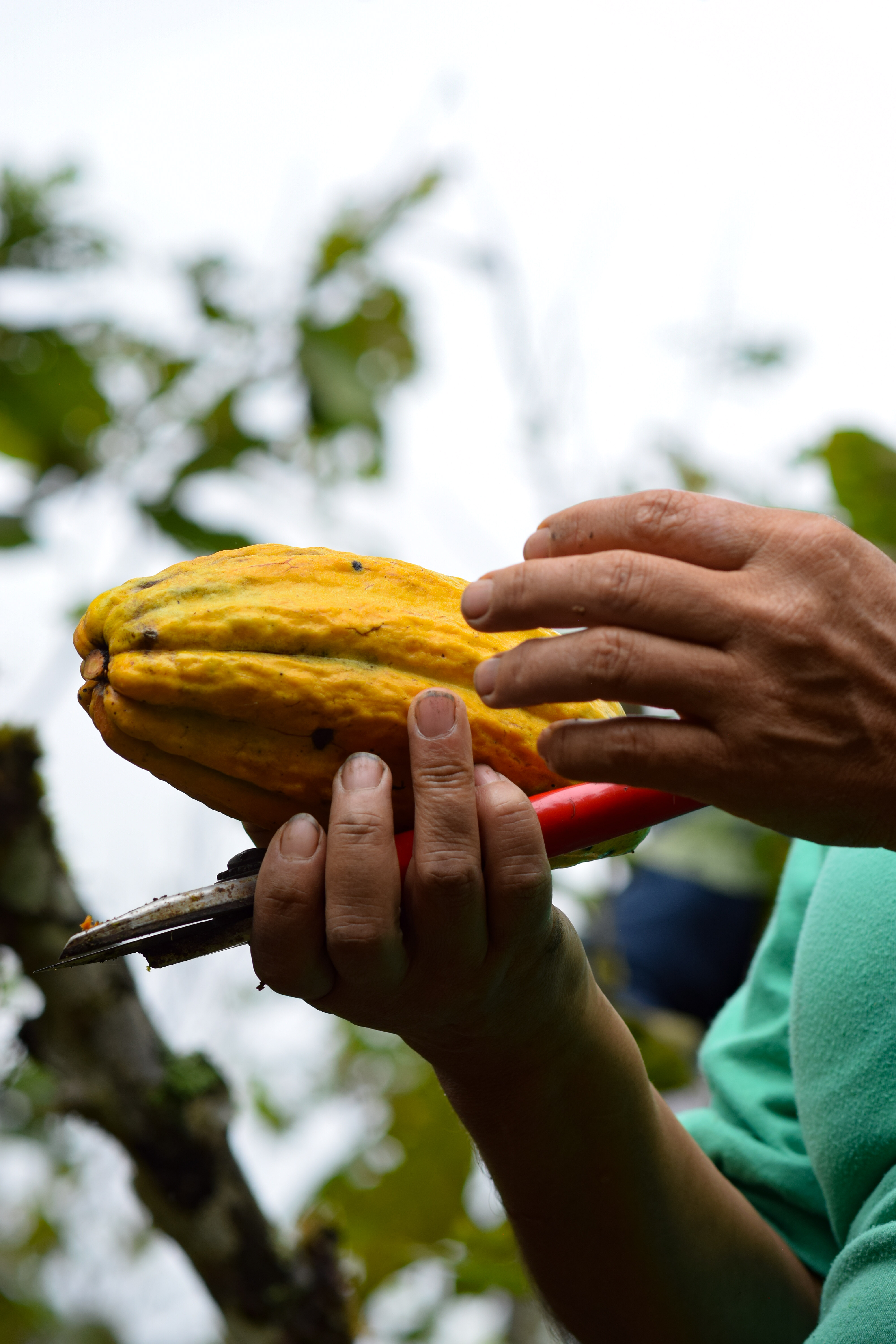 PSX_20250627_182246 (1)